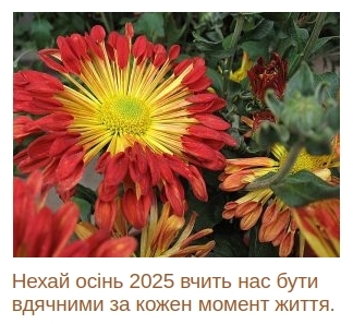 Ukrayinskyj_Serpanok-kvity.jpg