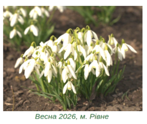 UA_Rivne_Vesna-Spring-Fruehling.png UA_Rivne_Vesna-Spring-Fruehling.png